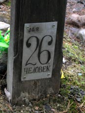 Tabulka na jednom z křížů na místech masových hrobů na Soloveckých ostrovech, na níž je uveden počet pohřbených osob